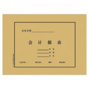 公司的財(cái)務(wù)報(bào)表怎么做